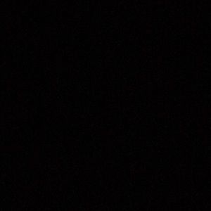 Meet your Posher, Phoebe